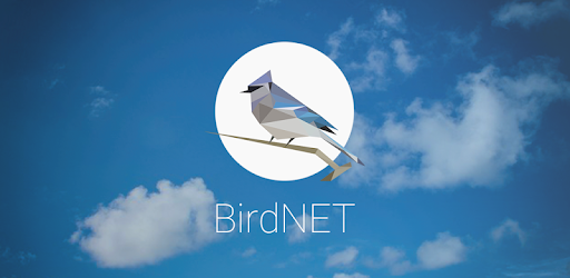 birdnet